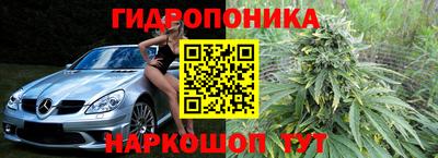 дмт Будённовск