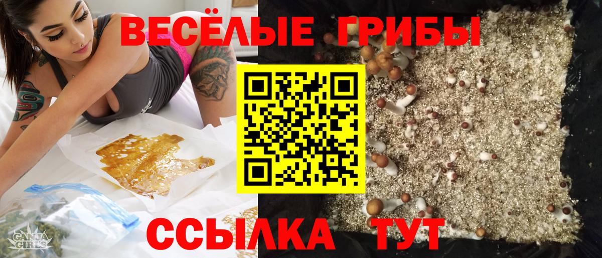 Псилоцибиновые грибы Psilocybine cubensis  продажа наркотиков  Липецк  Вход с VPN  Псилоцибиновые грибы мухоморы 