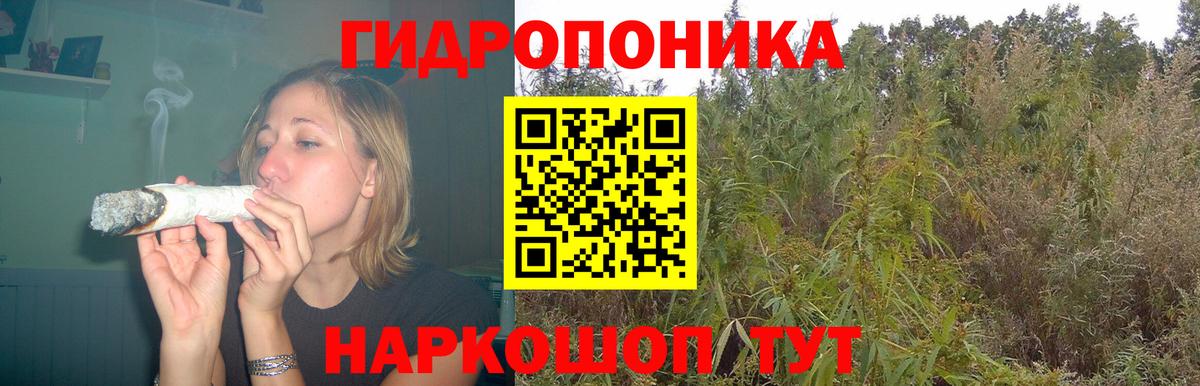 Бошки Шишки индика  Вход с VPN  Канабис VHQ  Канабис SATIVA & INDICA  Бошки Шишки сатива  Липецк 